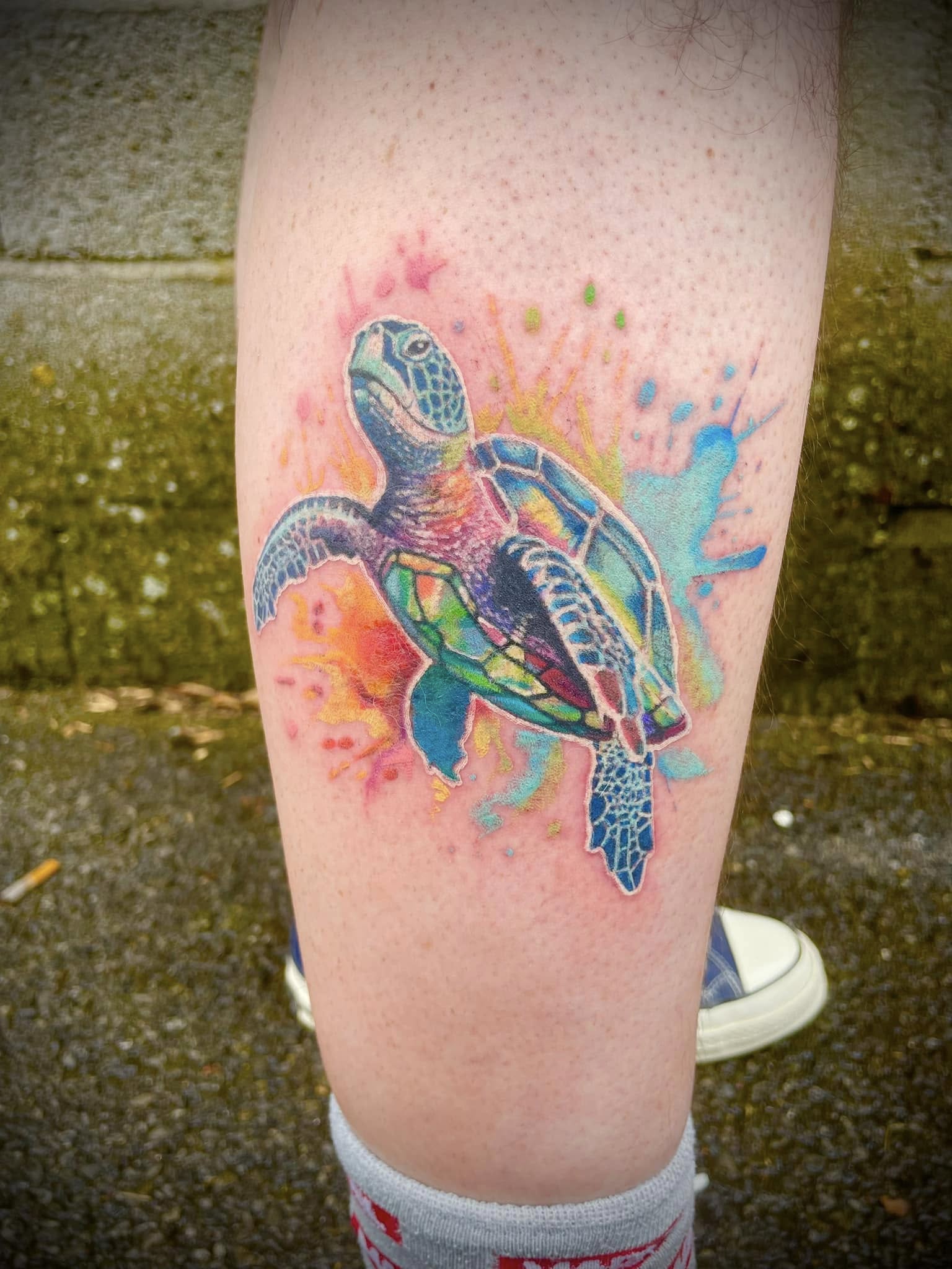 tortue-gs